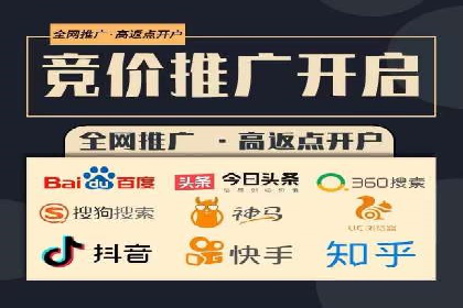 行业领先企业的SEM代理案例剖析